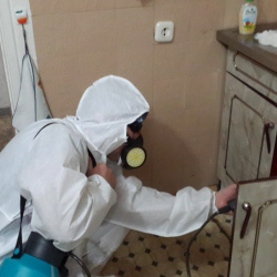 Дезинфекция от муравьев в квартире в Удельной