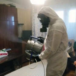 Дезинфекция от клопов в Удельной