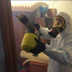 Уничтожение клопов в квартире. Удельная